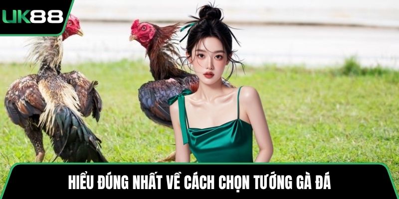 Hiểu đúng nhất về cách chọn tướng gà đá